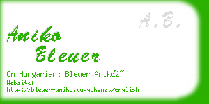 aniko bleuer business card